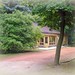 Timothy Street Photo 24