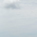 Deborah Kite Photo 17
