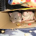 Ruby Humphrey Photo 7