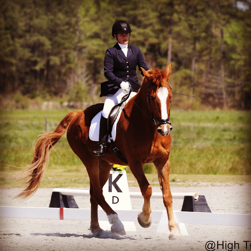 Suzanne Richey Photo 20