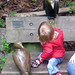 Susan Crow Photo 14