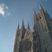 Paul Rose Photo 28