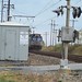 Joy Cross Photo 8