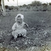 Susan Goldsmith Photo 35