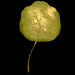 Binh Danh Photo 12