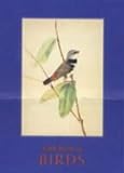 Little Book Of Birds