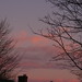 Dawn Greer Photo 16
