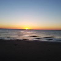 Robin Snyder Photo 10