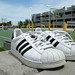 David Shell Photo 9