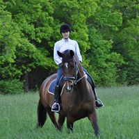 Sandra Gustafson Photo 26