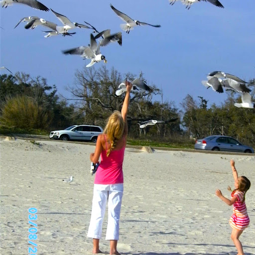 Debbie Hawkins Photo 23
