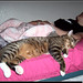 Kristy Bailey Photo 10