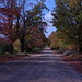 Gary Lester Photo 28
