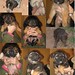 Jose Romera Photo 7