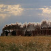 Linda Shepard Photo 15