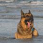 Lisa Killingsworth Photo 14