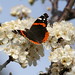 Gerald Bloom Photo 12