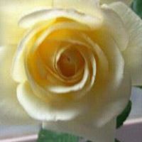 Barbara Elkins Photo 8