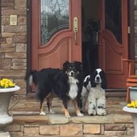 Renee Wilkinson Photo 20