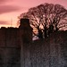 Scott Pickering Photo 22