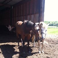 Kathleen Guenther Photo 13