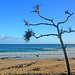 John Eipper Photo 8