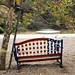 Debra Travis Photo 12