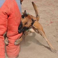 Debra Skinner Photo 29