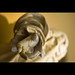 Joshua Ward Photo 21