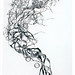 Jason Edens Photo 17