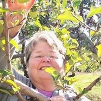 Linda Ratliff Photo 13