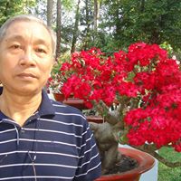 Nhung Trinh Photo 20
