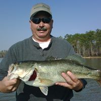 Bob Mallard Photo 1
