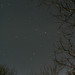 Star Morris Photo 11