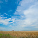 Enid Spain Photo 4