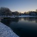 Dawn Trout Photo 18
