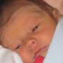 Karen Ward Photo 19