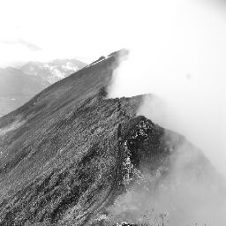 Jerome Neumann Photo 3