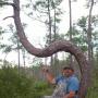 David Albritton Photo 31