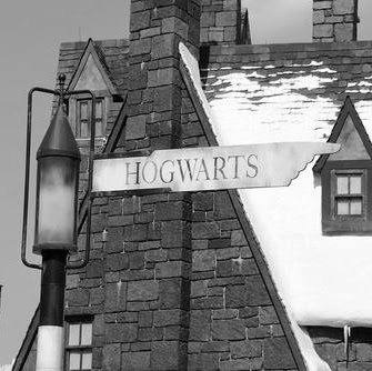 Ronald Potter Photo 11