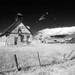 Kelly Fitzgerald Photo 18