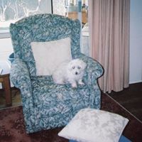 Deb Ford Photo 25
