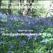 Ann Reardon Photo 10