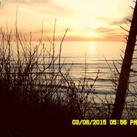 Teresa Haney Photo 33