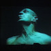 Chris Cunningham Photo 45