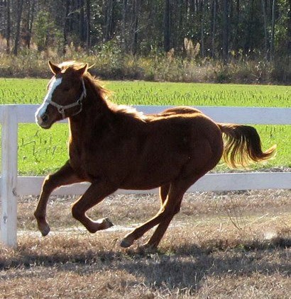 Amy Woodard Photo 20