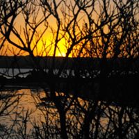 Kari Gates Photo 17