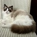 Amy Sunshine Photo 17