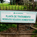 Maria Plant Photo 16