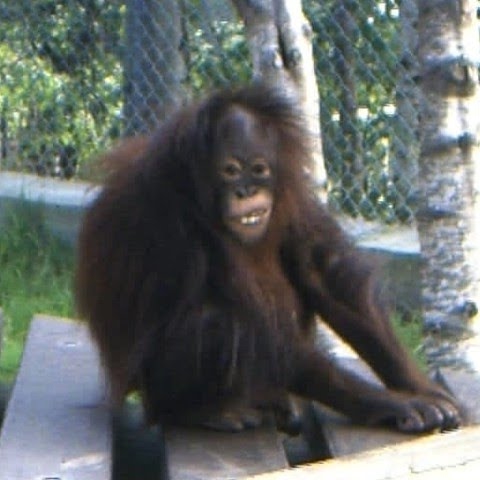 Samuel Drew Photo 33